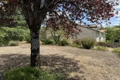 6C74FDD9-9240-4BDF-ADBC-78CCE69BBD48_1_105_c